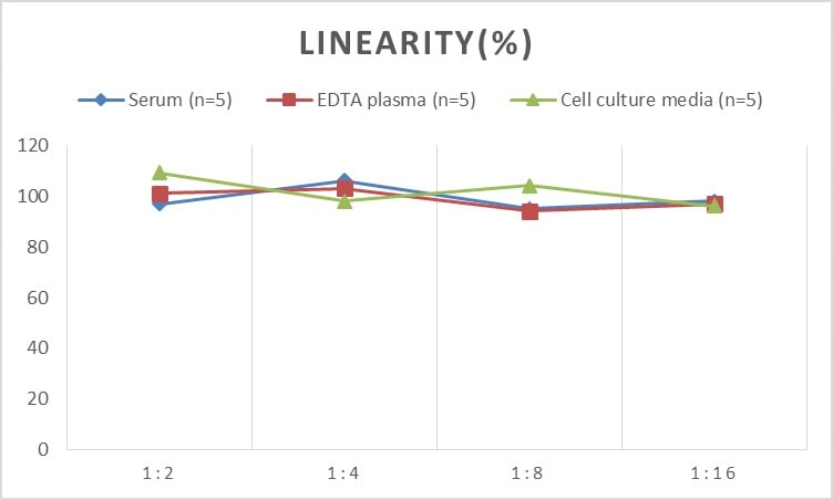 Human ABCA1 ELISA Kit (Chemiluminescence)