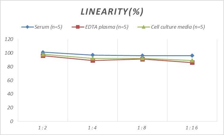 Human ABCC5 ELISA Kit (Colorimetric)