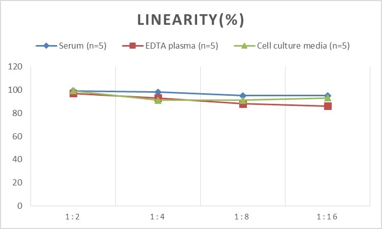 Mouse ACF ELISA Kit (Colorimetric)