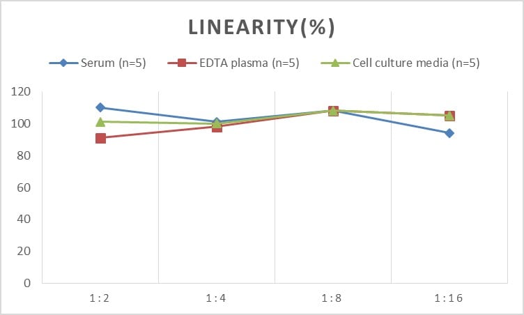 Human Acetylcholinesterase/ACHE ELISA Kit (Chemiluminescence)