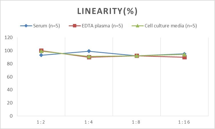 Mouse alpha-Actinin 1 ELISA Kit (Colorimetric)