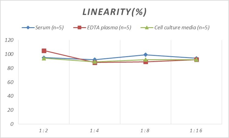 Mouse Alpha Actinin 2 ELISA Kit (Colorimetric)