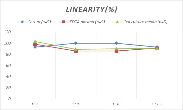 Rat Alpha Actinin 2 ELISA Kit (Colorimetric)
