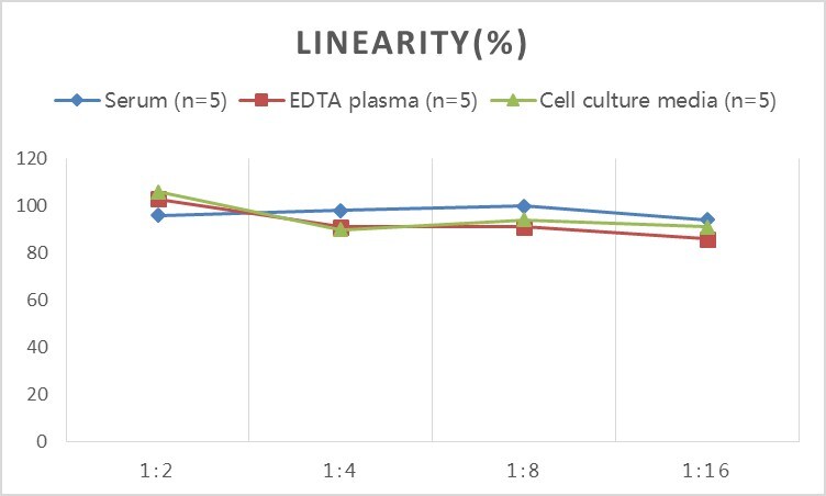 Human Alpha Actinin 4 ELISA Kit (Colorimetric)