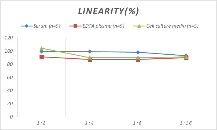 Human ADAM22 ELISA Kit (Colorimetric)