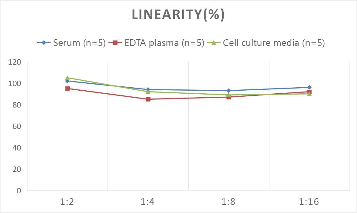 Human ADAM33 ELISA Kit (Colorimetric)
