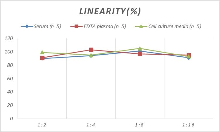 Human ADAM8 ELISA Kit (Chemiluminescence)