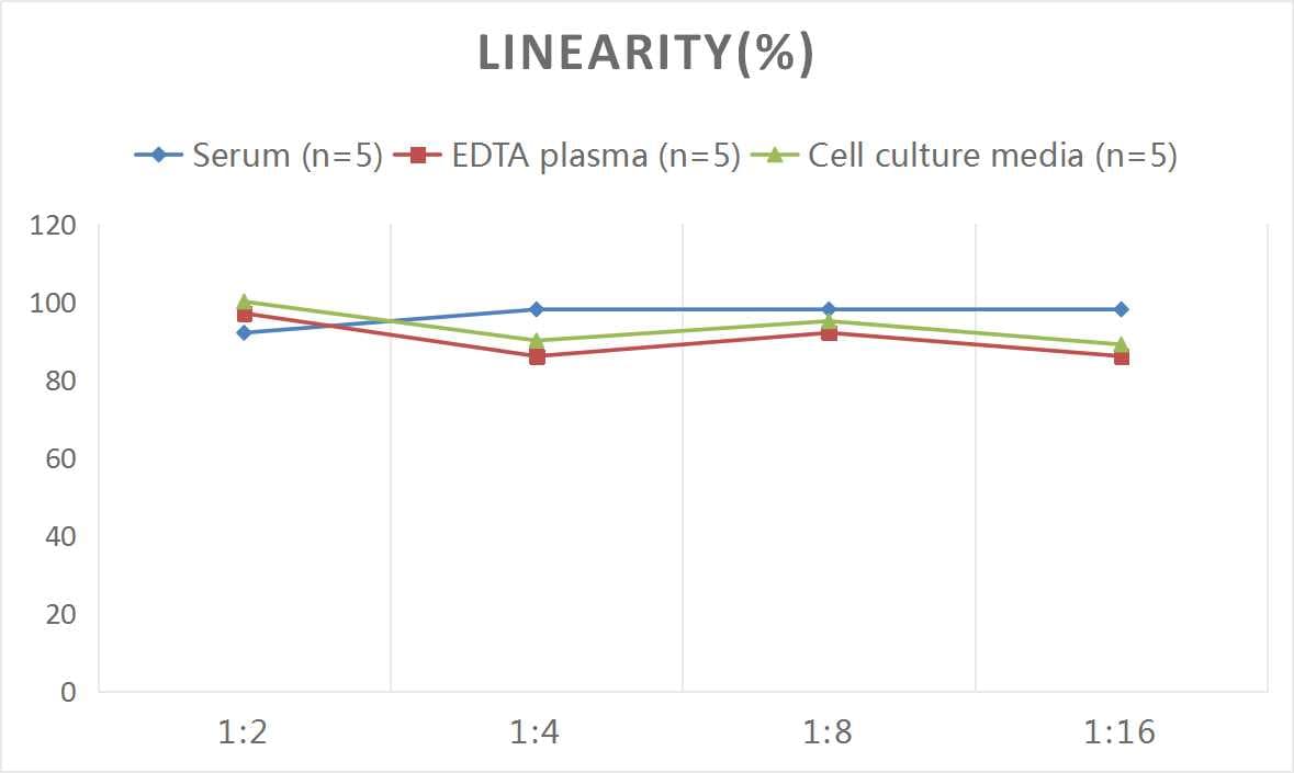 Human ADAMTS12 ELISA Kit (Colorimetric)