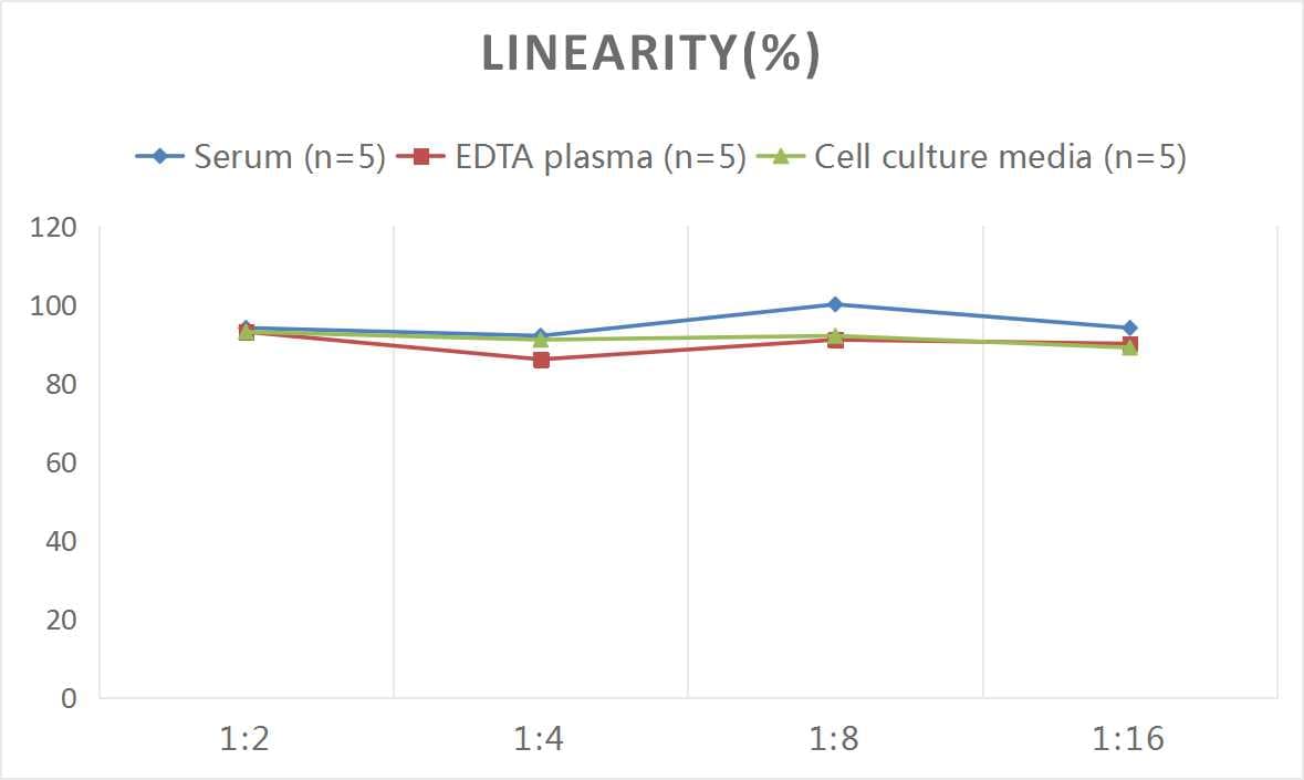 Human ADAMTS5 ELISA Kit (Colorimetric)