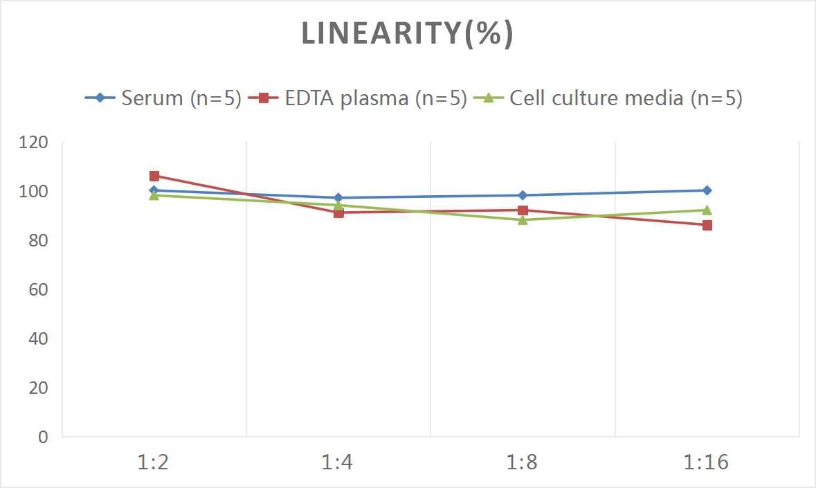 Human ADAMTS7 ELISA Kit (Colorimetric)
