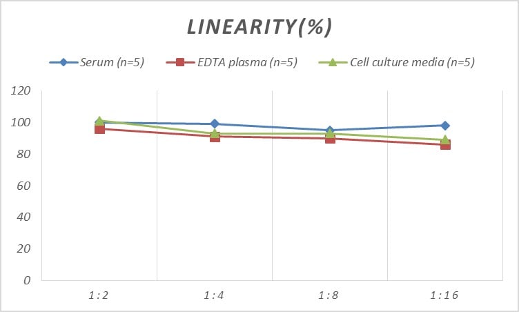 Human ADAMTS9 ELISA Kit (Colorimetric)