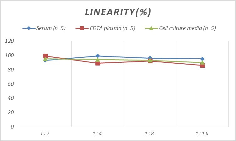 Human ADCY4 ELISA Kit (Colorimetric)