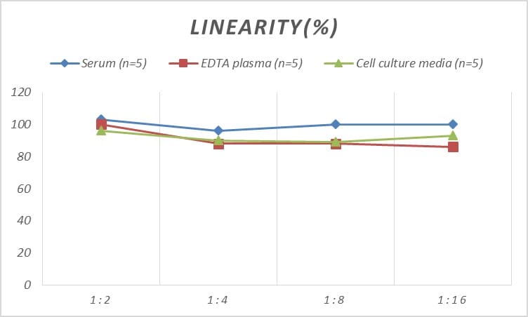 Human Adenosine A3 R ELISA Kit (Colorimetric)