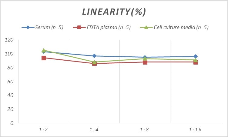 Human AFAP ELISA Kit (Colorimetric)
