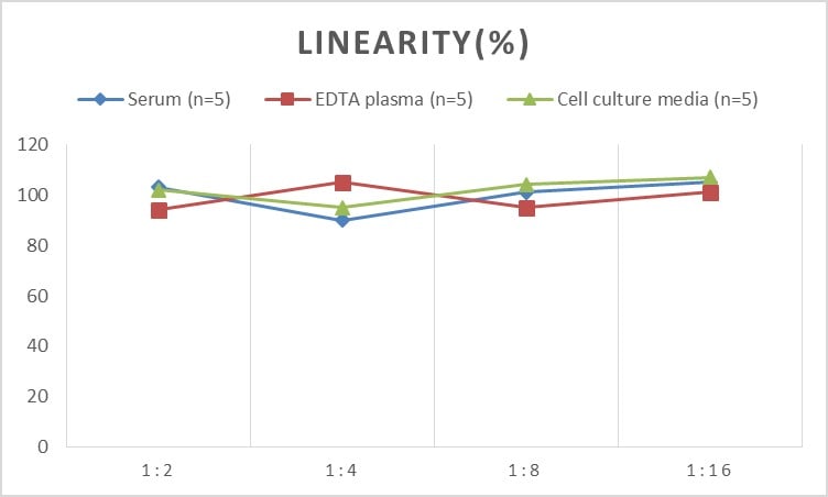 Human VG5Q ELISA Kit (Chemiluminescence)