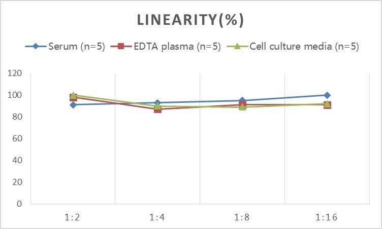 Rat Agrin ELISA Kit (Colorimetric)