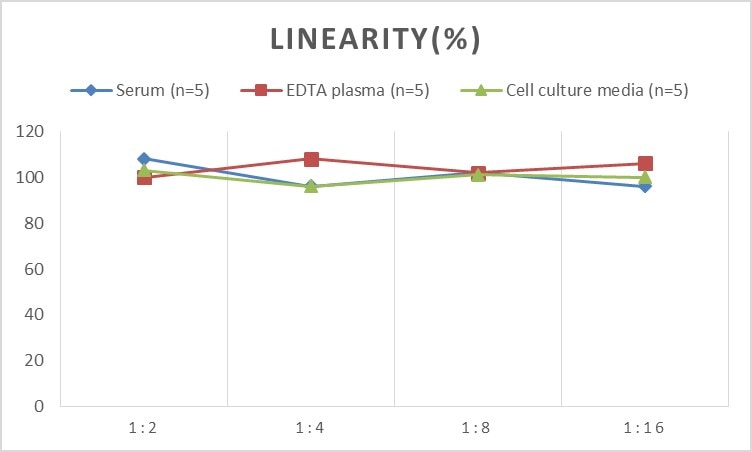Rat AgRP/ART ELISA Kit (Chemiluminescence)