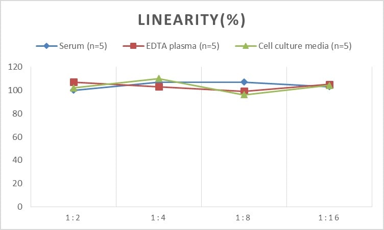 Mouse Serpin A8/Angiotensinogen ELISA Kit (Chemiluminescence)