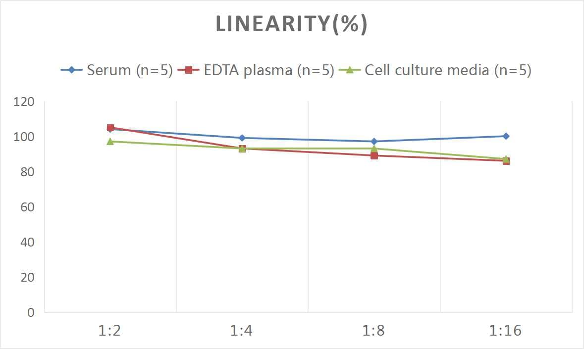 Human C5b-9 ELISA Kit (Colorimetric)