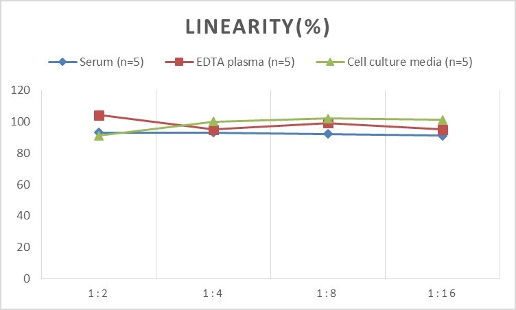 Rat 11-dehydro-TXB2 ELISA Kit (Colorimetric)