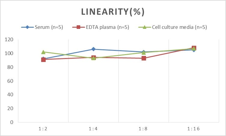 Human Angiopoietin-like Protein 4/ANGPTL4 ELISA Kit (Chemiluminescence)