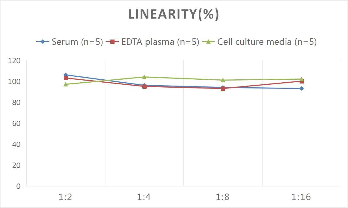 Mouse Atrial Natriuretic Peptide/ANP ELISA Kit (Colorimetric)