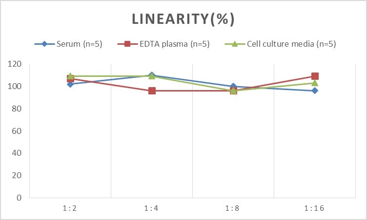 Mouse Apolipoprotein B/ApoB ELISA Kit (Chemiluminescence)