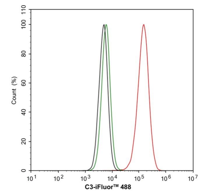 Complement C3 Antibody (JF10-30)