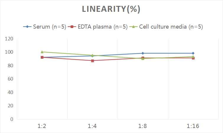 Human Cathepsin D ELISA Kit (Colorimetric)
