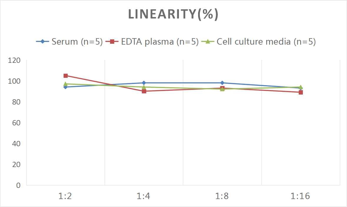 Mouse Cathepsin D ELISA Kit (Colorimetric)