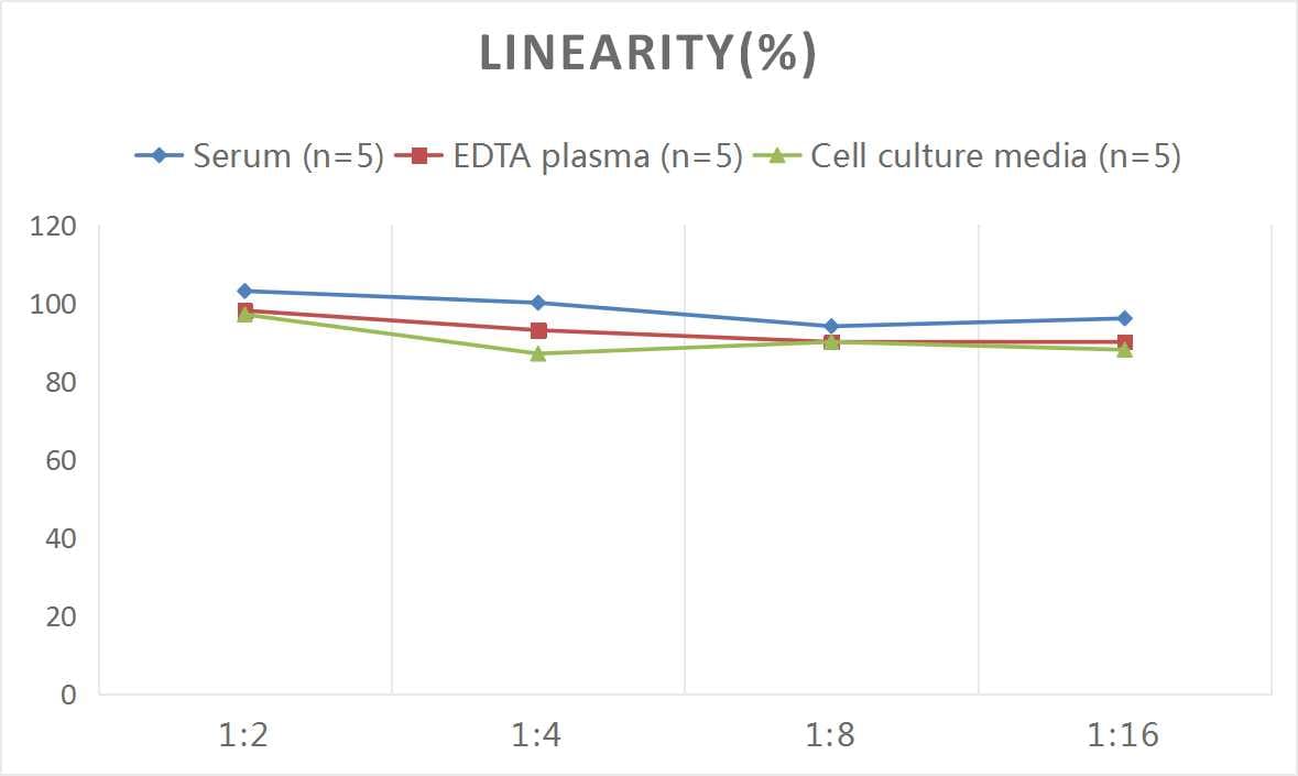 Rat Cathepsin D ELISA Kit (Colorimetric)