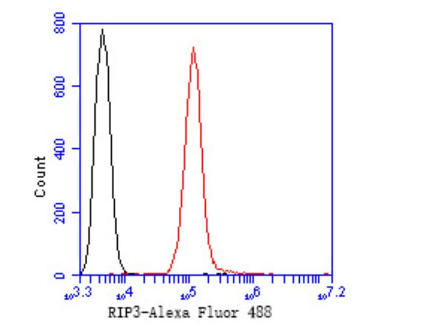 Nrf2 [p Ser40] Antibody (SU0334)