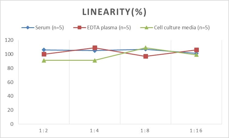 Rat Dopamine D2R/DRD2 ELISA Kit (Chemiluminescence)