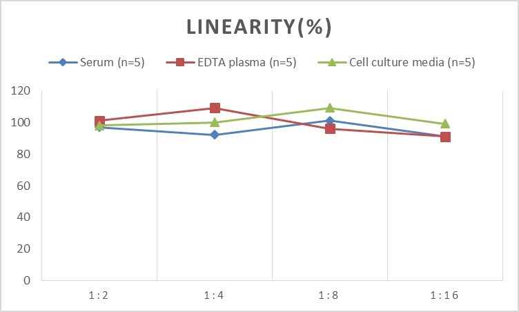 Rat Dopamine Receptor D4 ELISA Kit (Chemiluminescence)