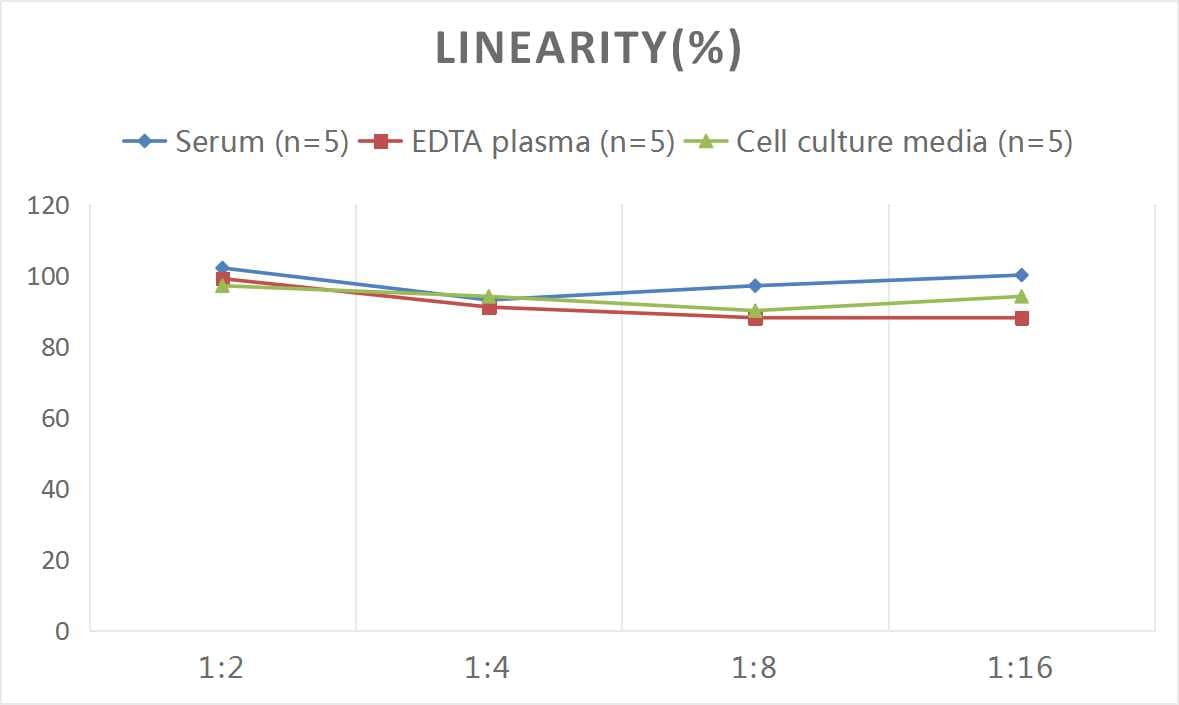 Human Fibrinogen beta chain ELISA Kit (Colorimetric)