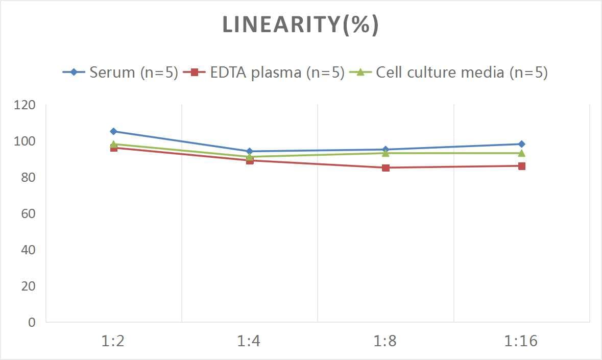 Rat Fibronectin ELISA Kit (Colorimetric)