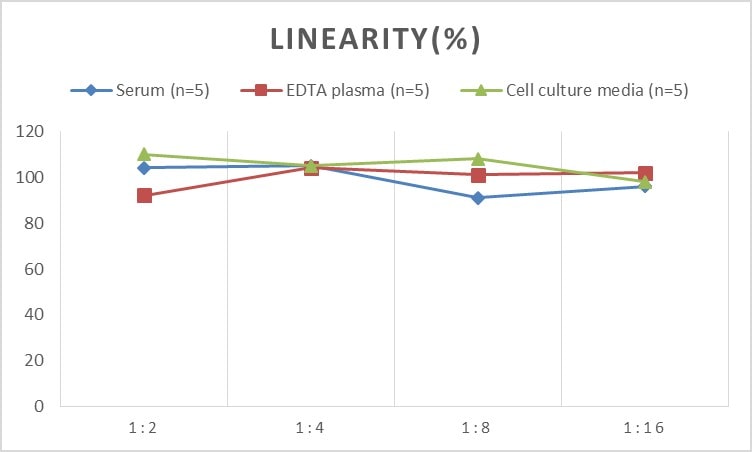 Human GAD1/GAD67 ELISA Kit (Chemiluminescence)