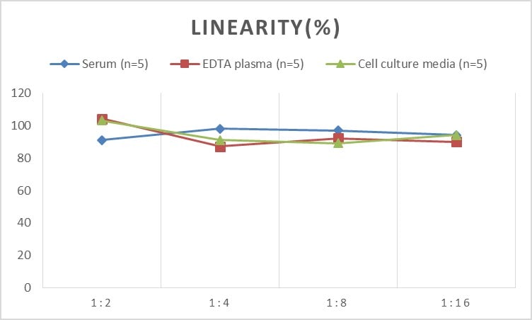 Human GCLM ELISA Kit (Colorimetric)