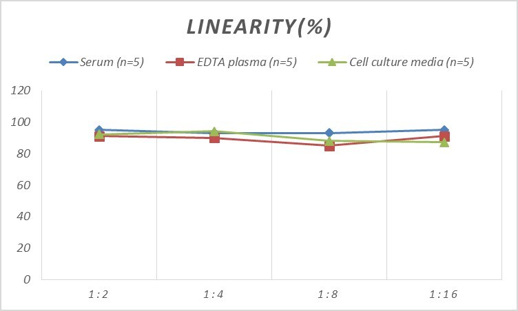 Mouse GCLM ELISA Kit (Colorimetric)