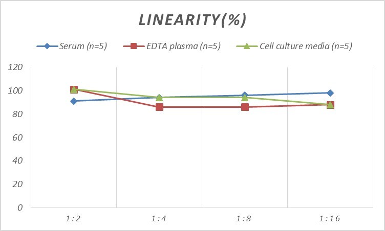 Rat GCLM ELISA Kit (Colorimetric)