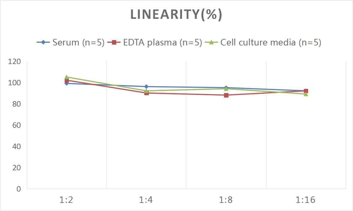 Rat GDNF ELISA Kit (Colorimetric)