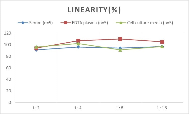 Human Tie-1 ELISA Kit (Chemiluminescence)