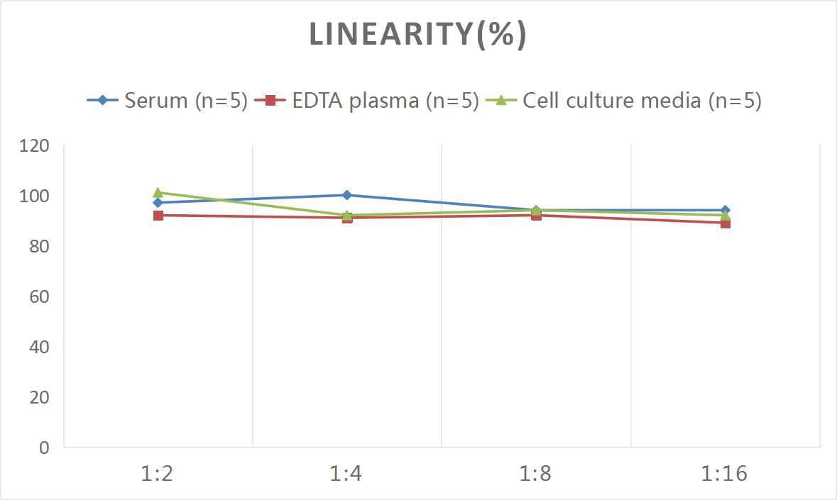 Mouse Glutamate Dehydrogenase ELISA Kit (Colorimetric)