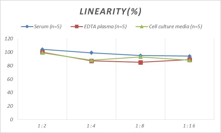 Rat GluR1 ELISA Kit (Colorimetric)