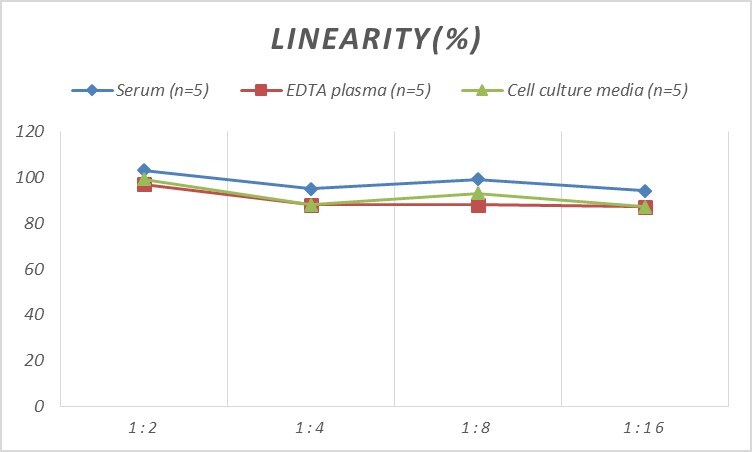 Rat Glutamate Receptor 6 ELISA Kit (Colorimetric)