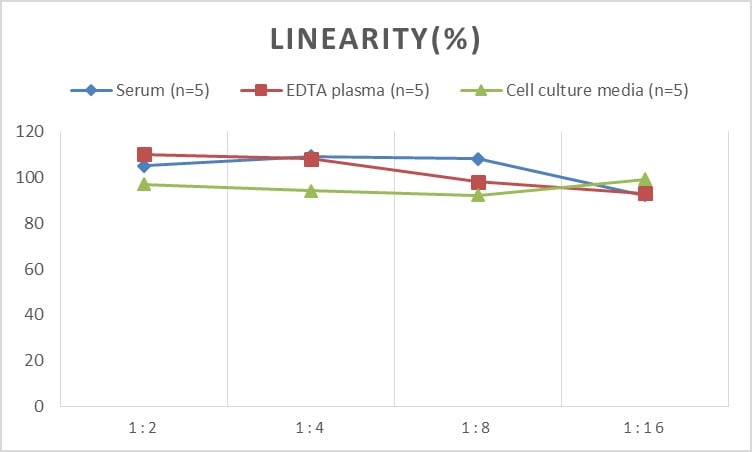Rat GSTA1 ELISA Kit (Chemiluminescence)