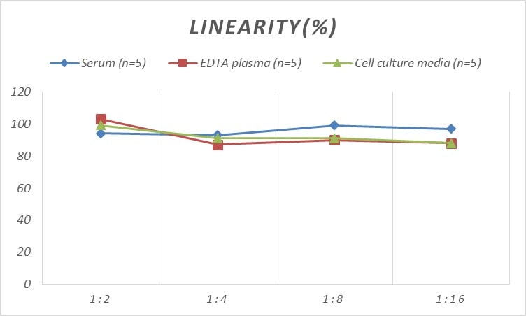 Rat Insulysin/IDE ELISA Kit (Colorimetric)