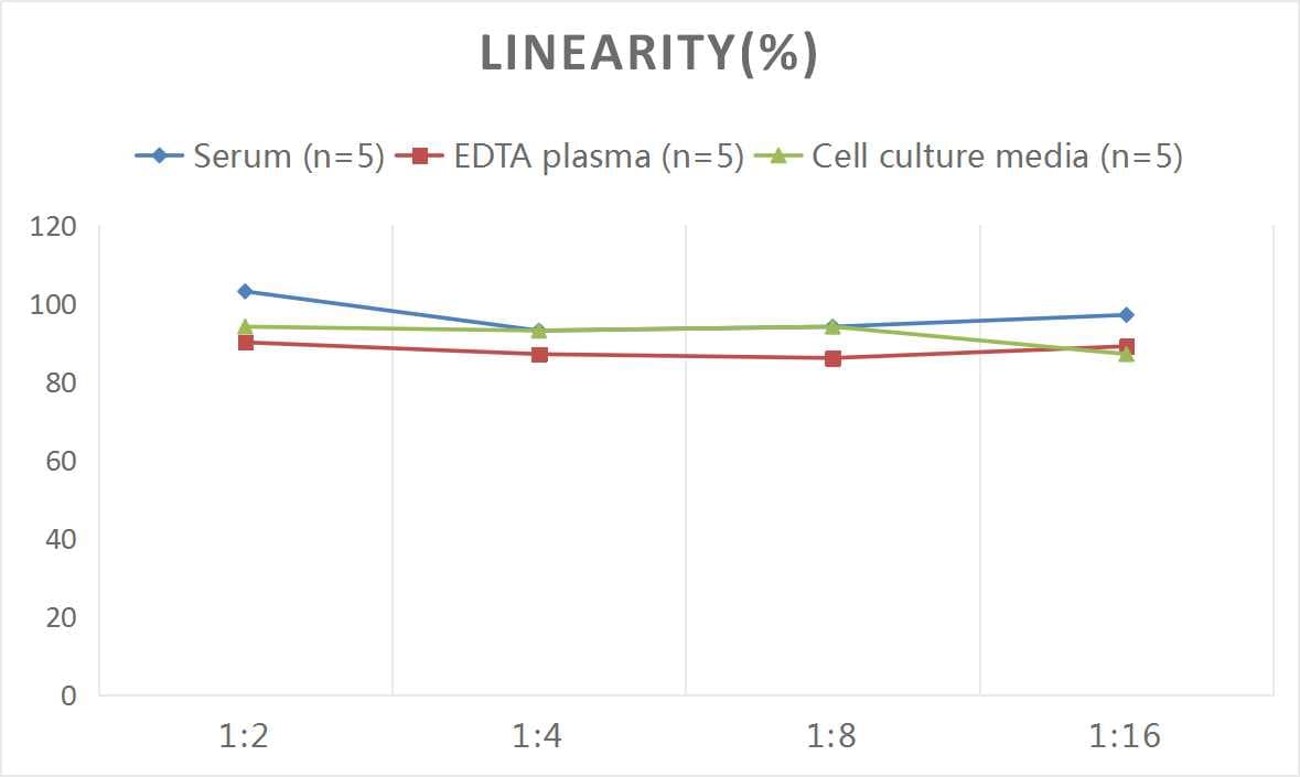 Mouse IgG2c ELISA Kit (Colorimetric)