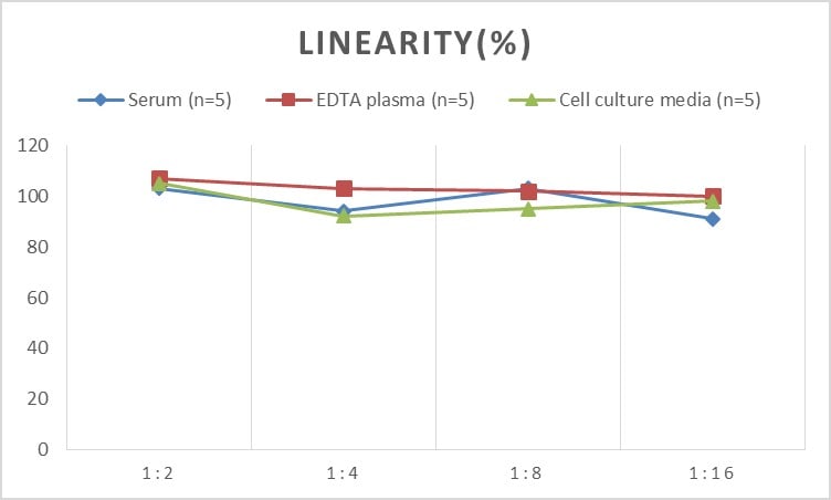Rat Insulin Receptor beta ELISA Kit (Chemiluminescence)