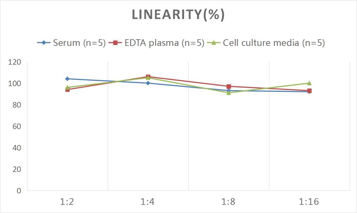 Human LBP ELISA Kit (Chemiluminescence)